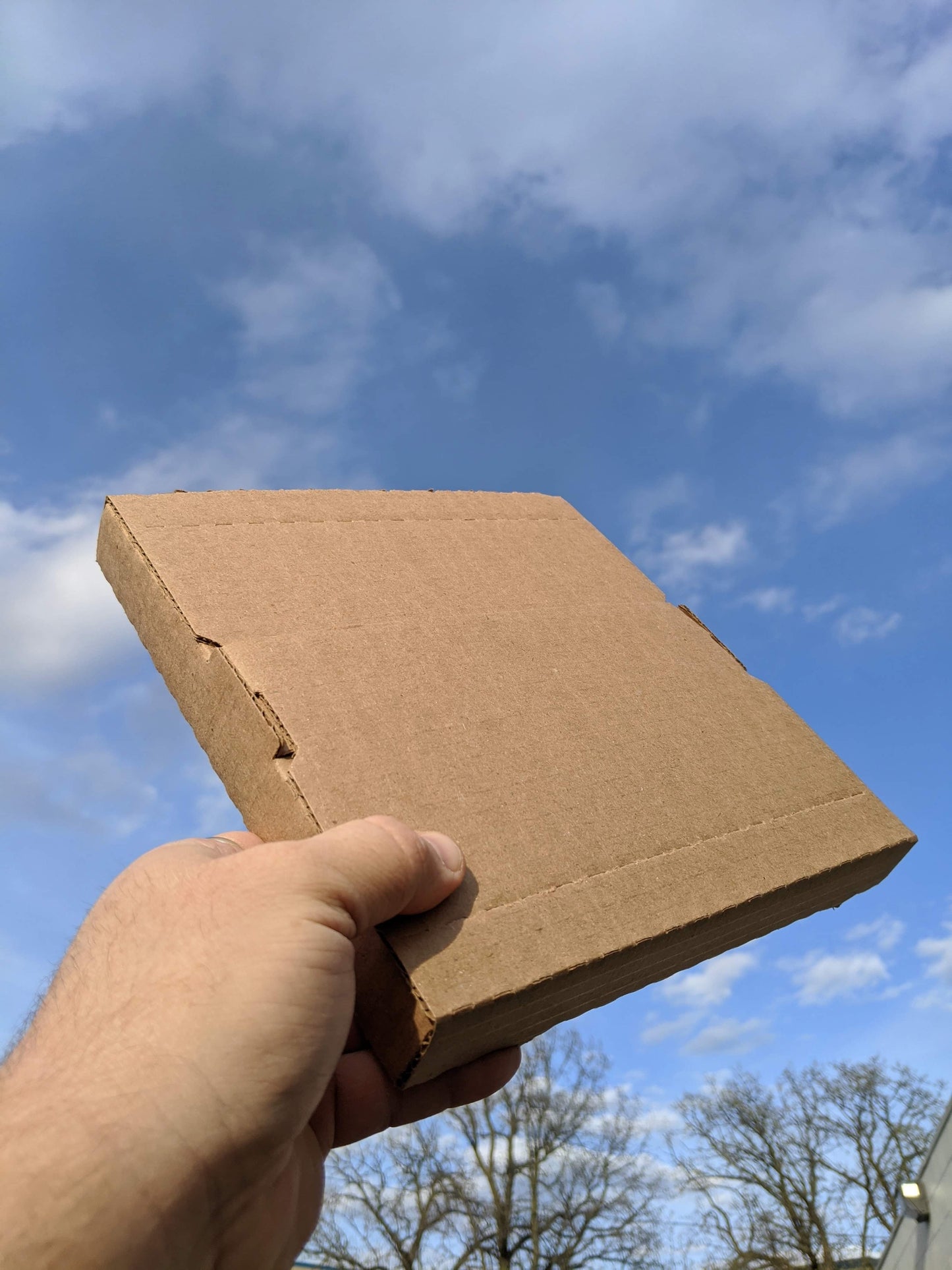 100 Boxes and 100 Bags (2 mil) - Free Shipping